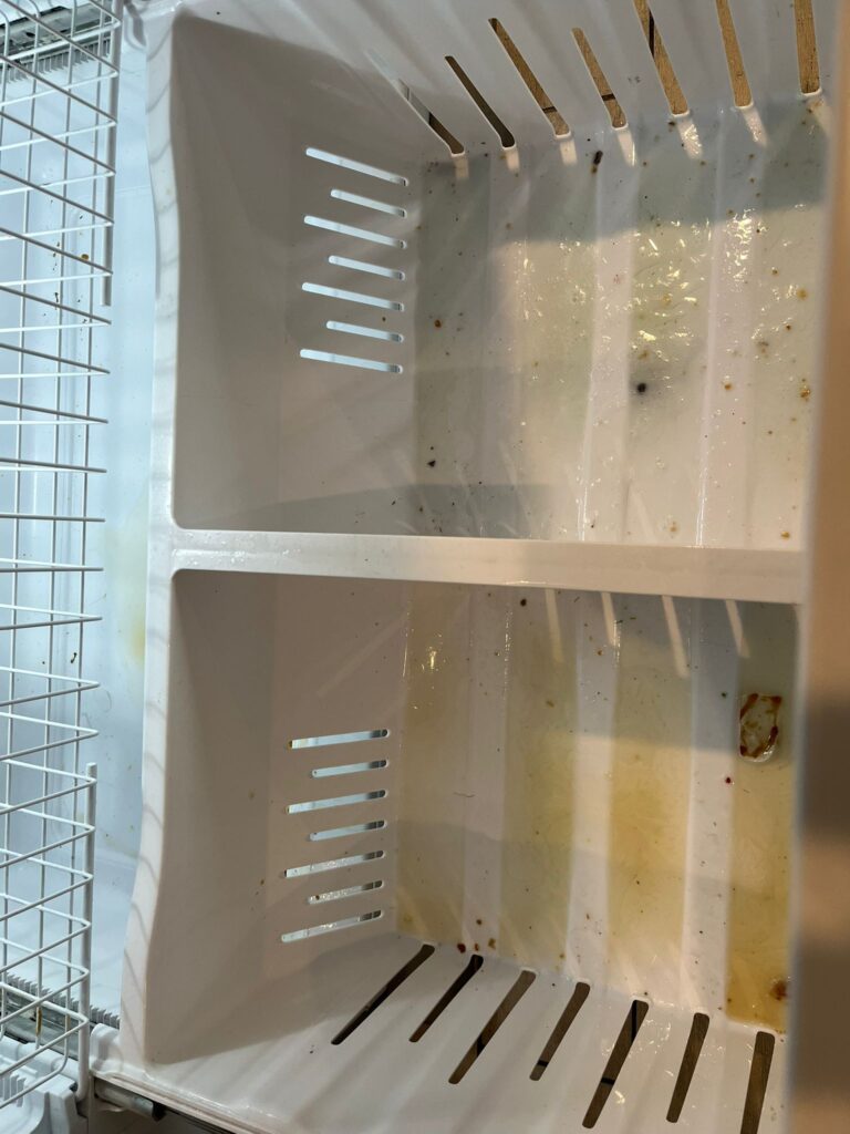 WhatsApp Image 2025 07 21 at 22.53.17 2a83ba60